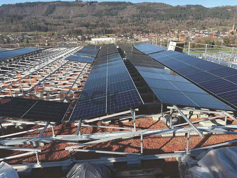 Отличен случай на монтаж на зелен покрив в Швейцария