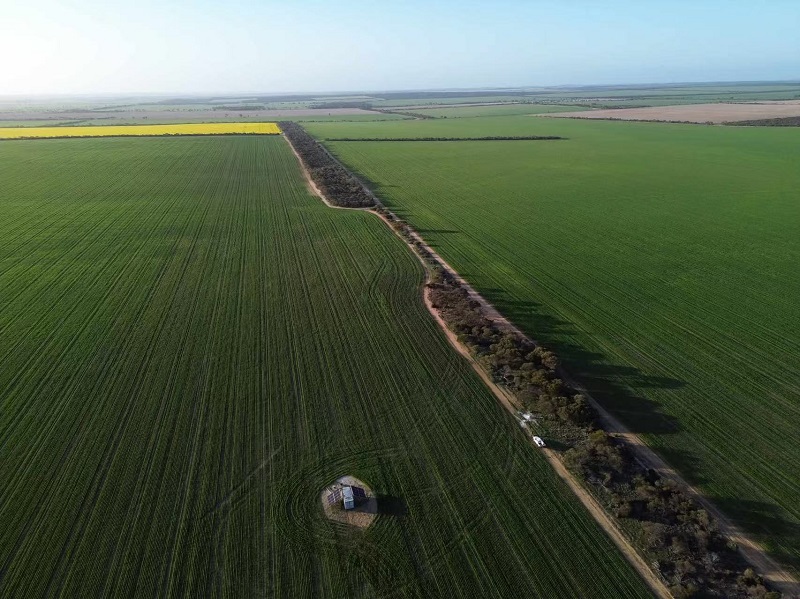 U pile ground solar mounting system in Australia farm